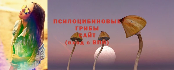 ECSTASY Алексин