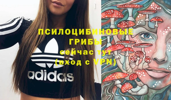 прущие крисы Валдай