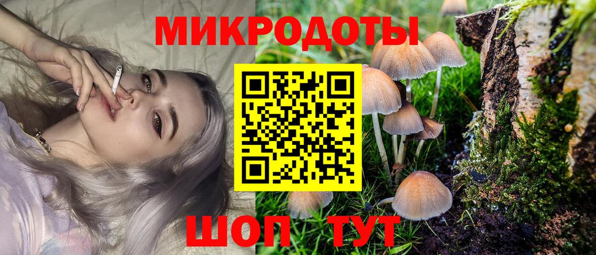 Куйбышев  Галлюциногенные грибы Magic Shrooms  как найти закладки  Вход с VPN 